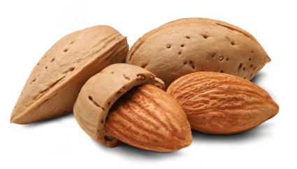  Almond